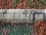 image of grave number 329297